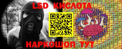 прущие крисы Баксан