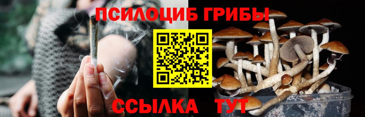 Галлюциногенные грибы Magic Shrooms  Вход с VPN  Похвистнево 